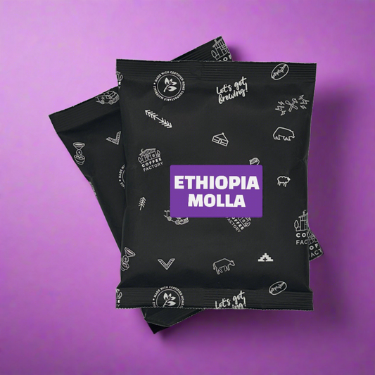 Ethiopia Molla