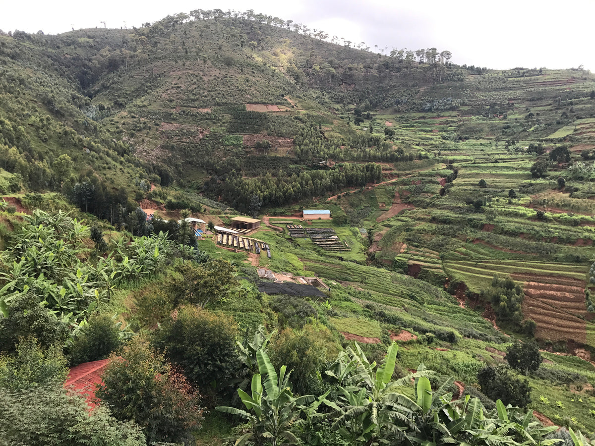 A wide view of green terraced hillsides and mountains with small buildings and paths in a rural valley setting.