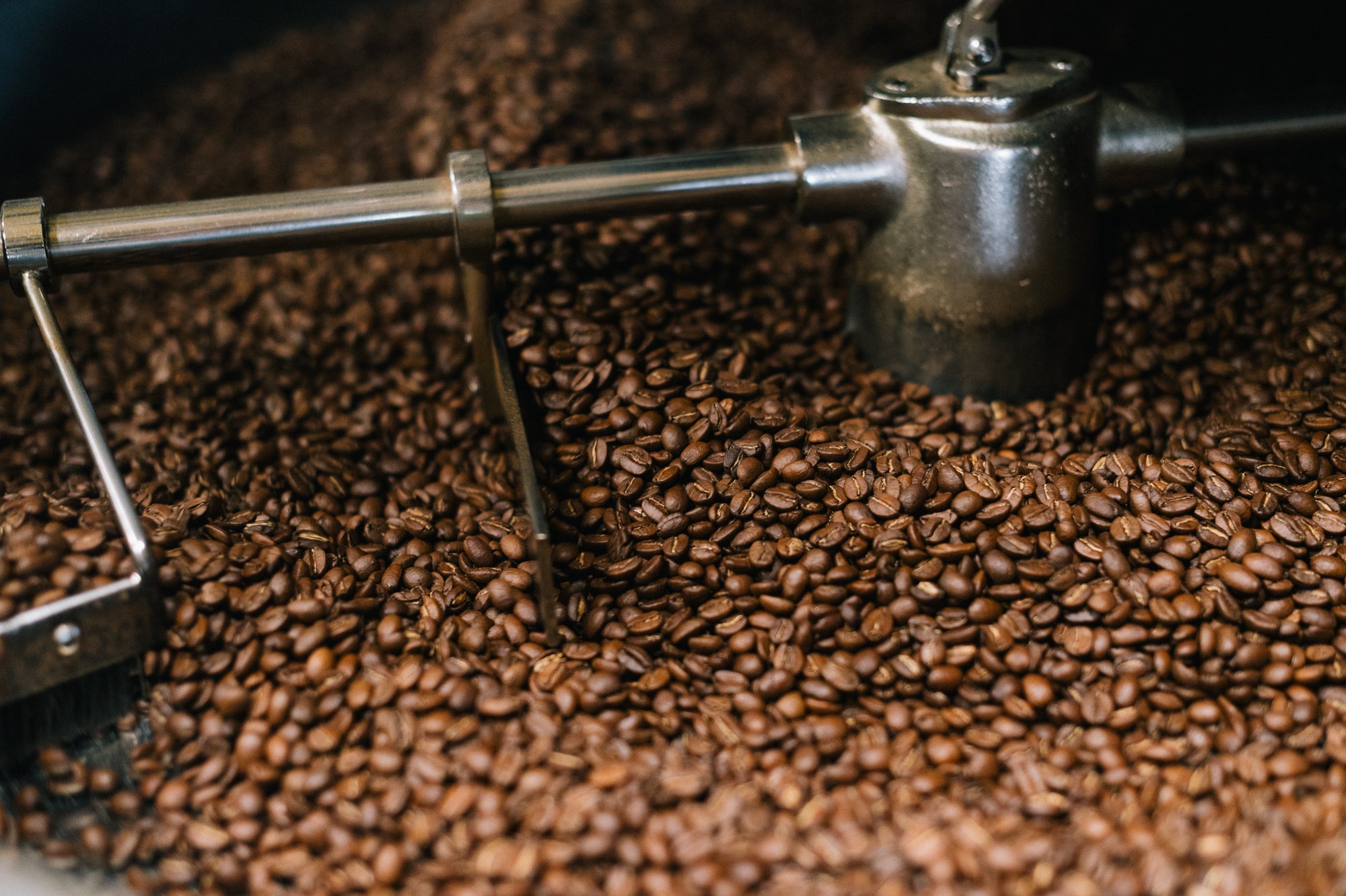Close-up of roasted coffee beans inside a metal coffee roaster drum, with part of the metal auger visible.