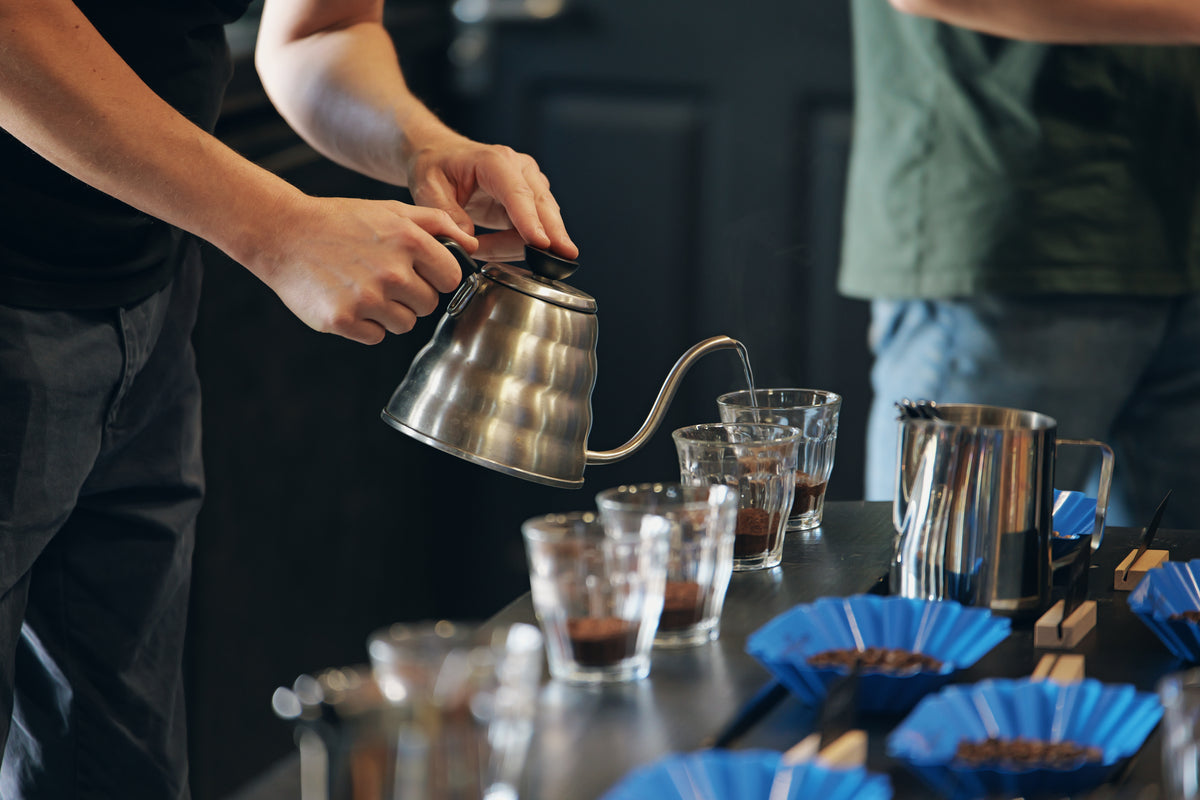 Pouring hot water over freshly ground coffee during a coffee tasting