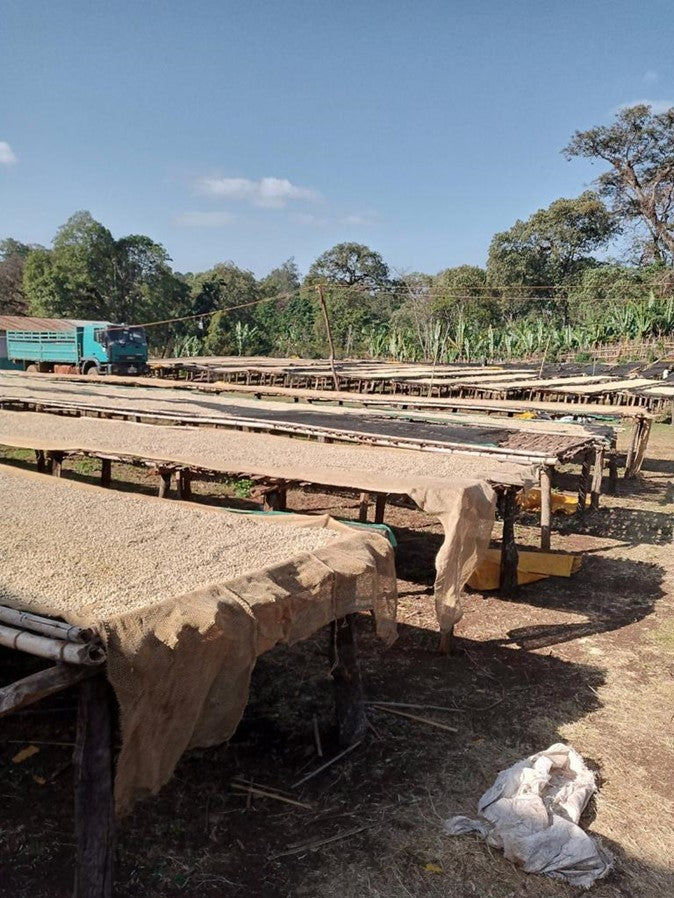 Ethiopia Drying Beds