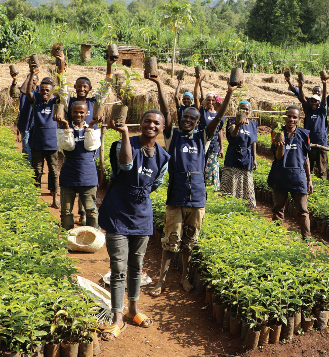 Ethiopia Taferi Kela Coffee Photo