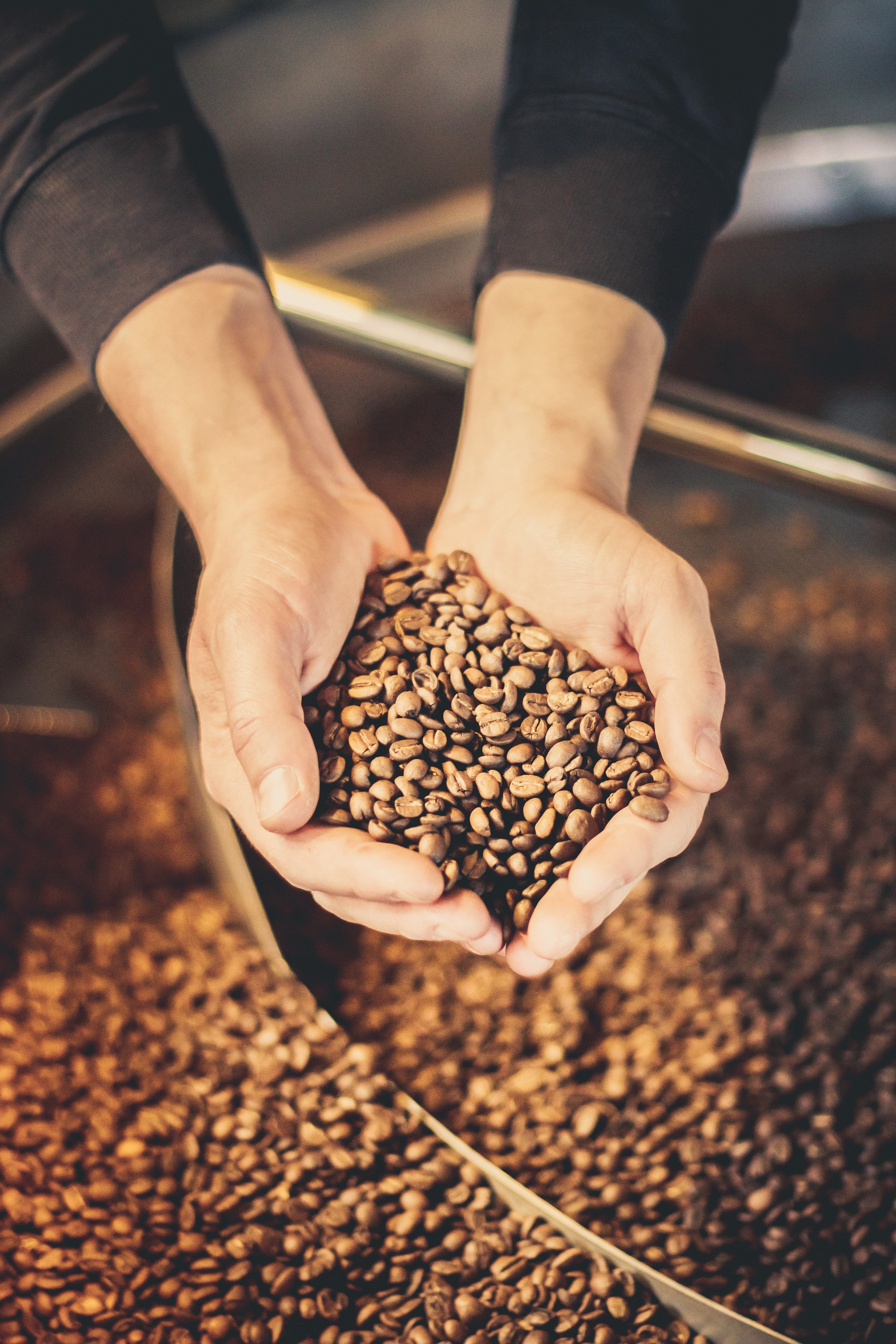 Baby Rhino Rescue Coffee Beans - Thanksgiving Coffee Co. – Thanksgiving  Coffee Company