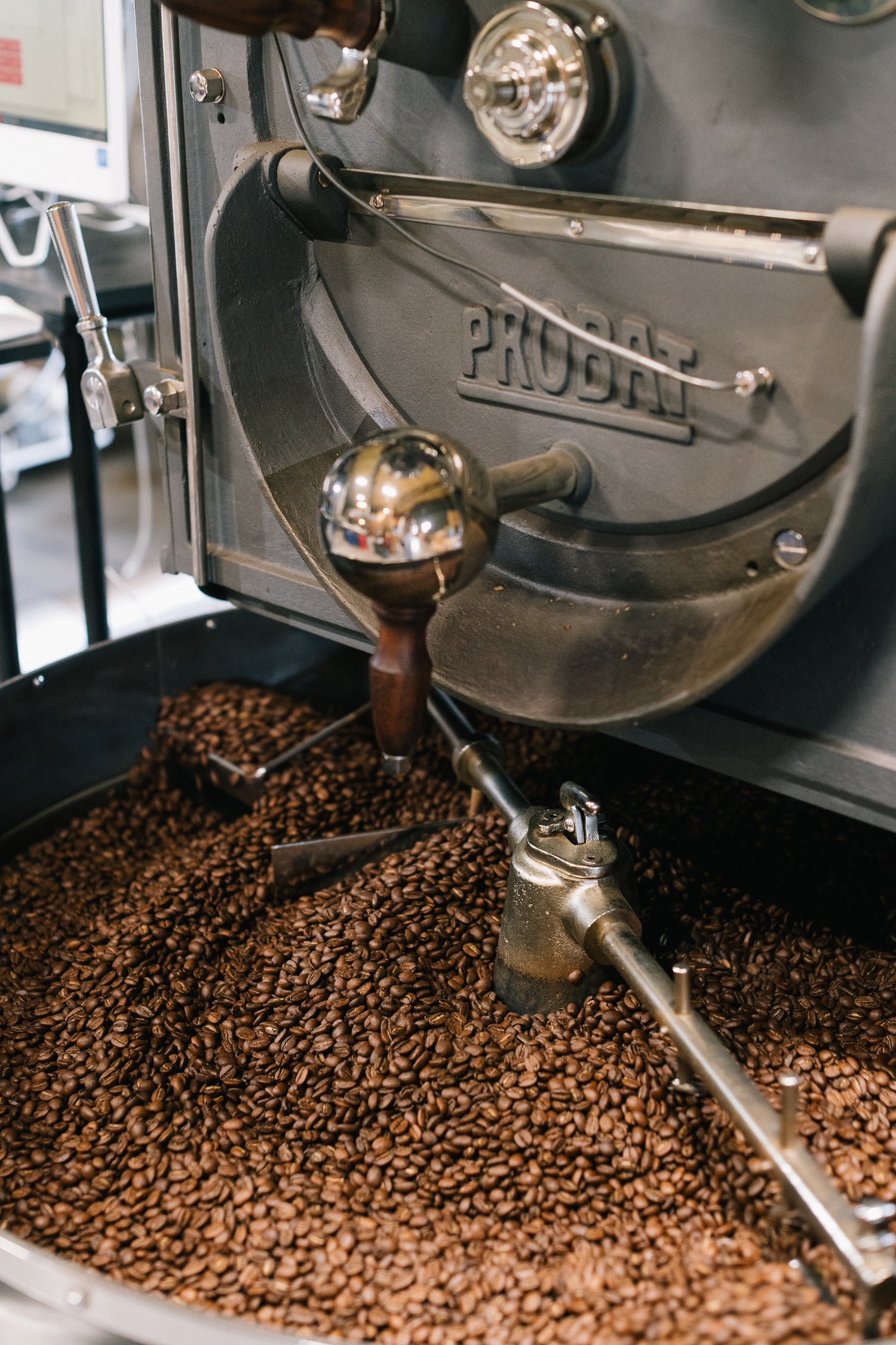 Coffee roasting machine with coffee beans inside, brand 'Probat' visible