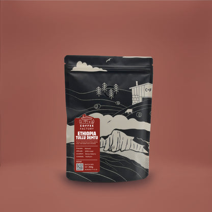 Ethiopia Tullu Demtu