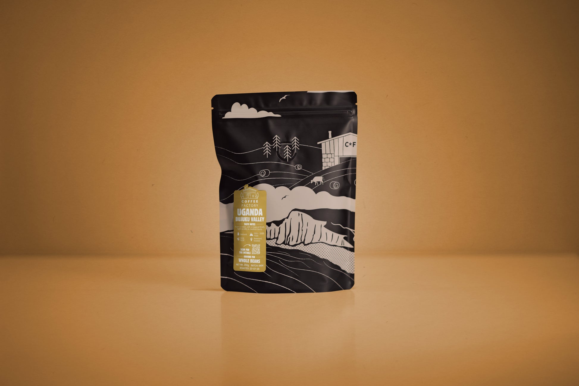 A stand-up pouch of coffee centered on a warm tan surface against a matching tan background. The pouch is black with white illustrated mountain and tree graphics and a small gold label on the front.